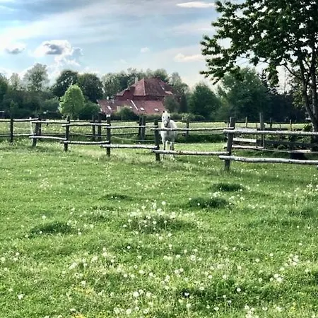 Apartman Alter Pfarrhof *